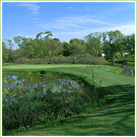 Briar Leaf Golf Club :: Michiana Golf