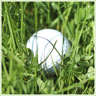 Michiana Golf :: Serving Golfers in Northwestern Indiana / Southwestern Michigan