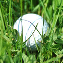 Michiana Golf :: Serving Golfers in NW Indiana / SW Michigan